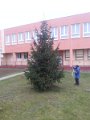 Vyzdoba_stromceka  1